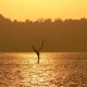 97- Magie des couleurs sur le lac Gatun 